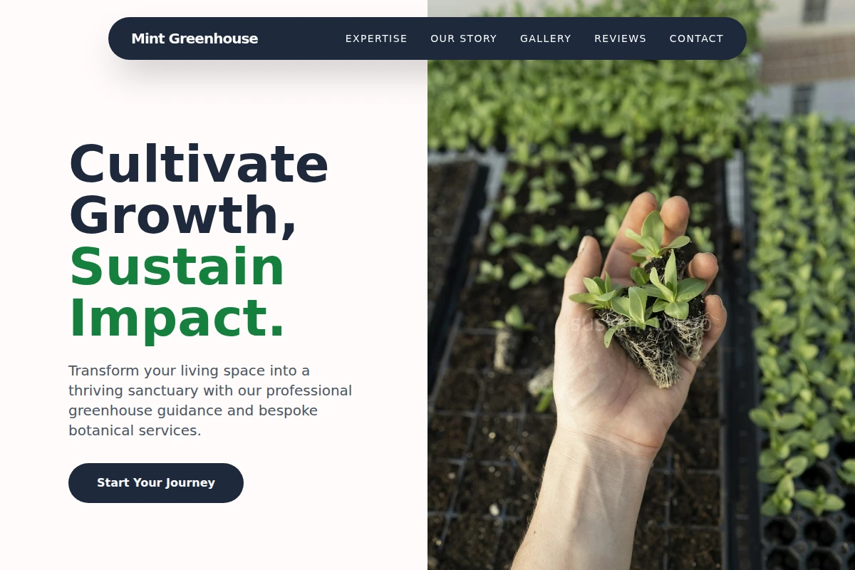 Mint Greenhouse