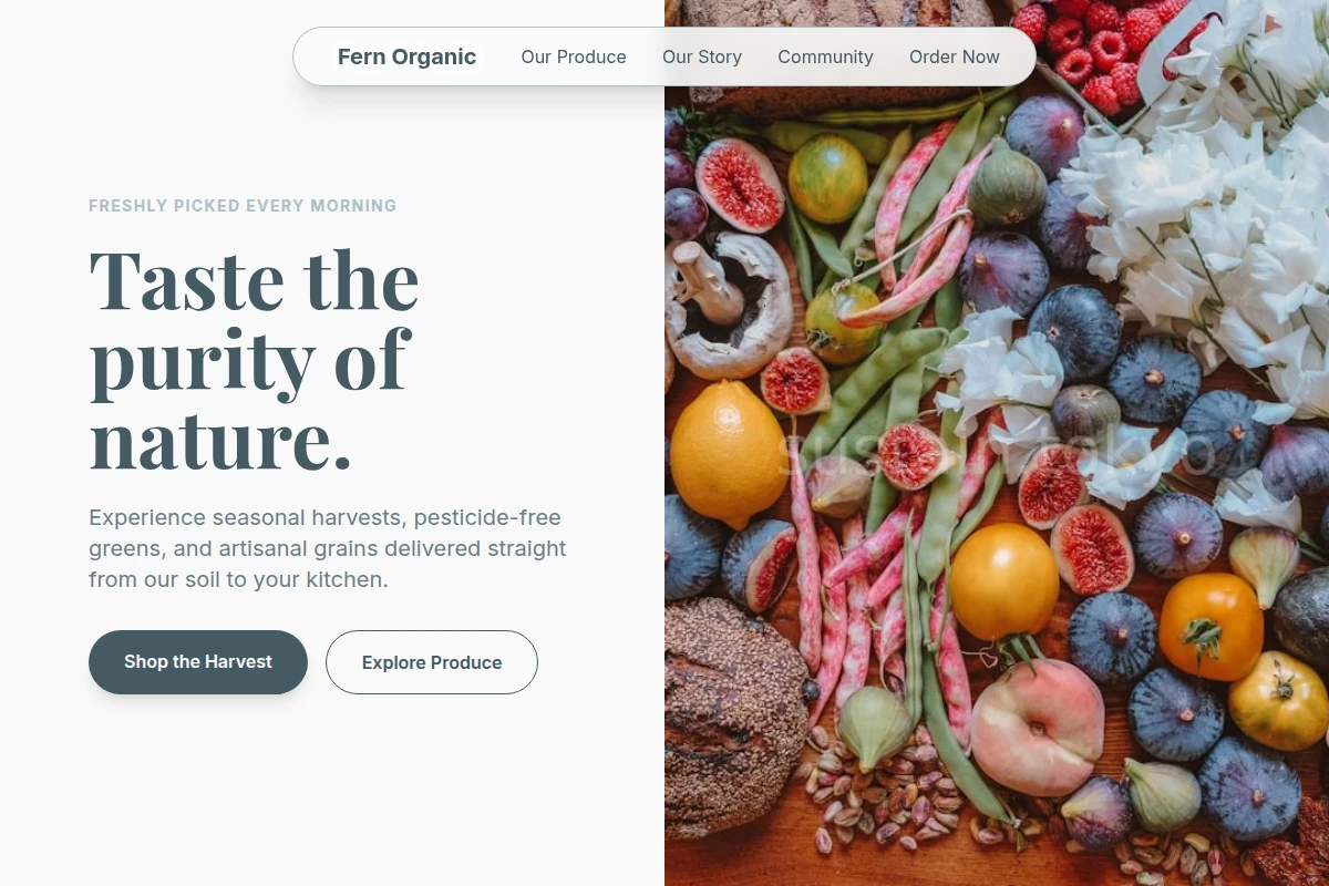 Fern Organic Food