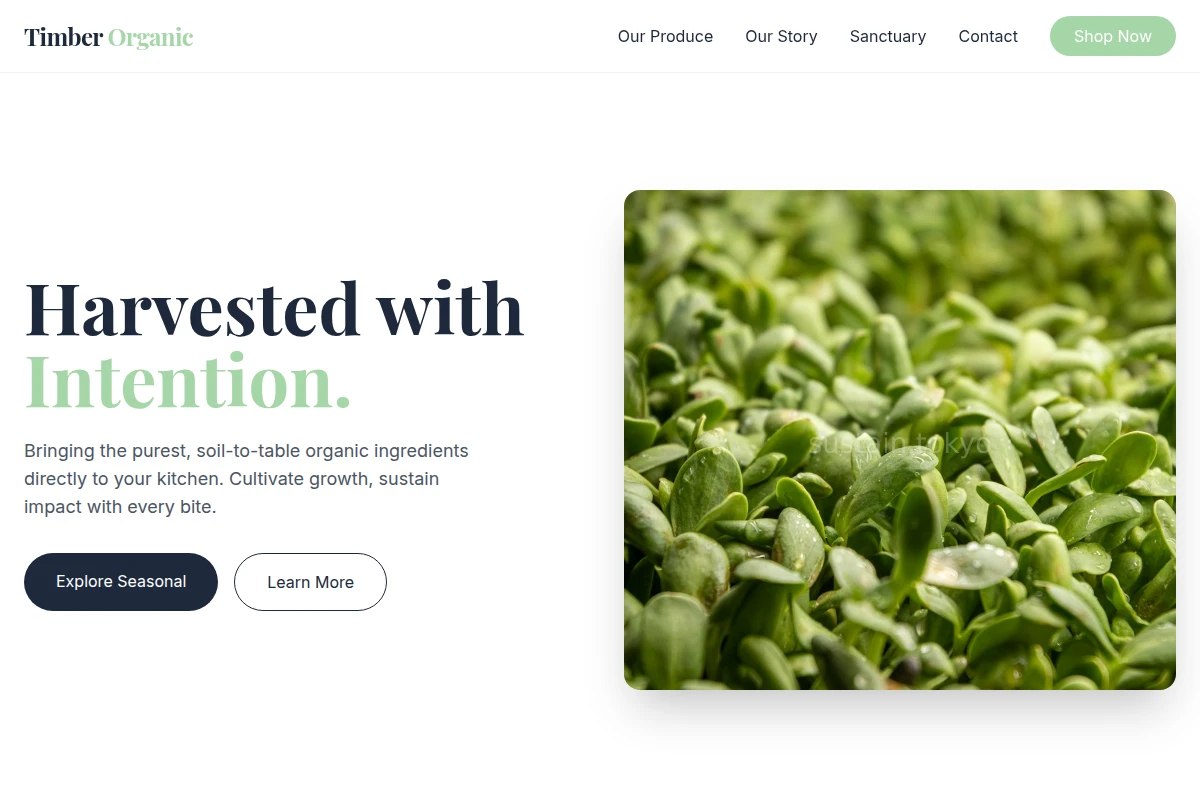 Timber Organic Food